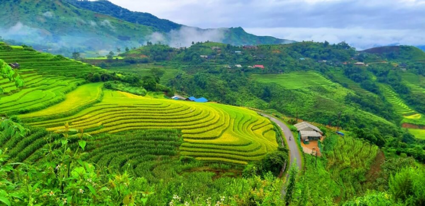 Terraced rice fields in the mountains of Vietnam — responsible tourism landscape
