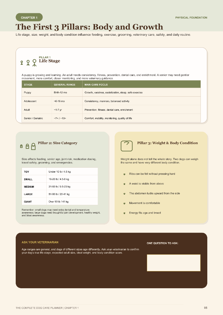 Body, growth & care foundation