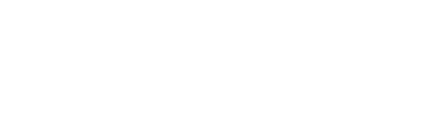 Bolst