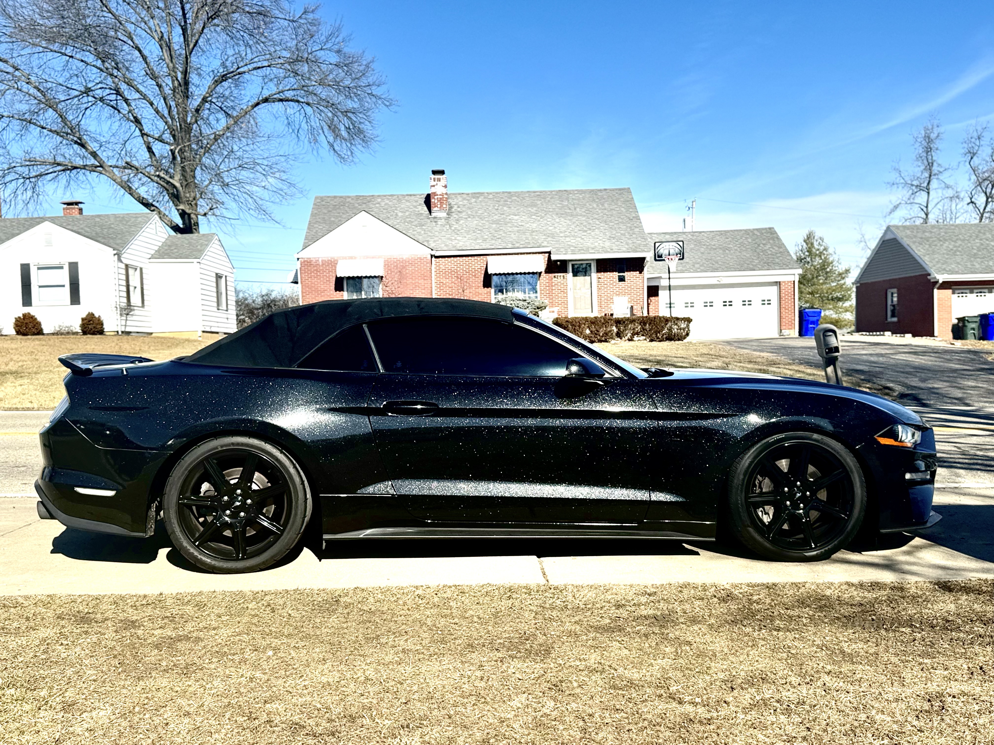 Mustang GT Convertible — Black Sparkle