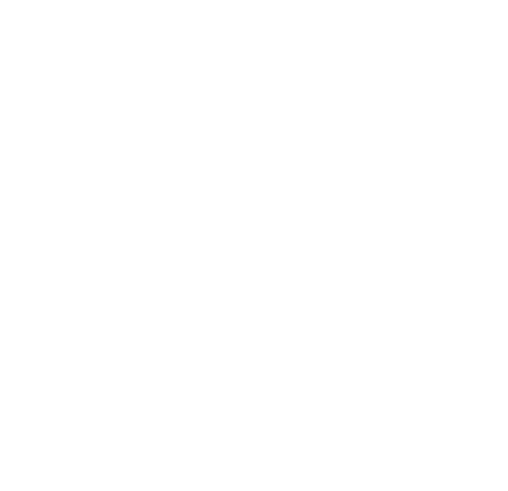 Alpha Customs logo