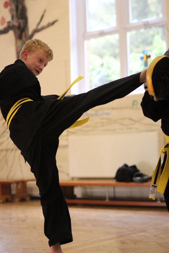 High kick - Intermediate student