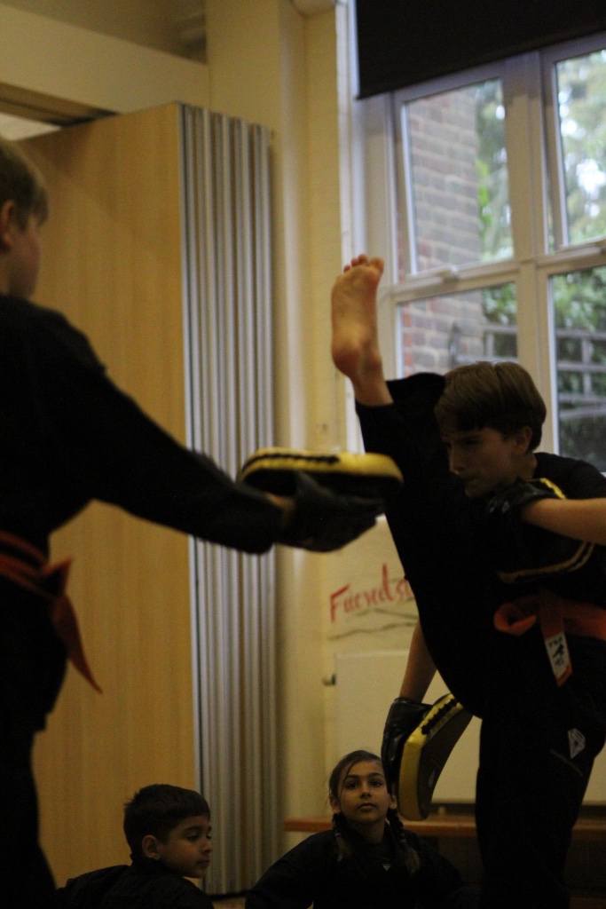 High Axe Kick