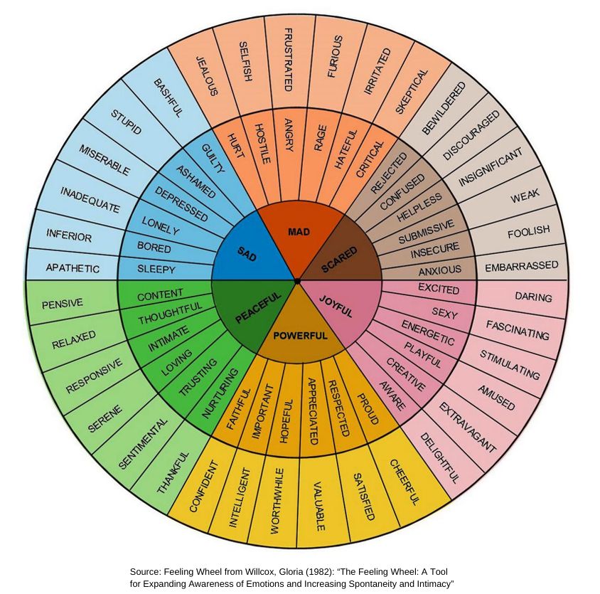 The Feeling Wheel