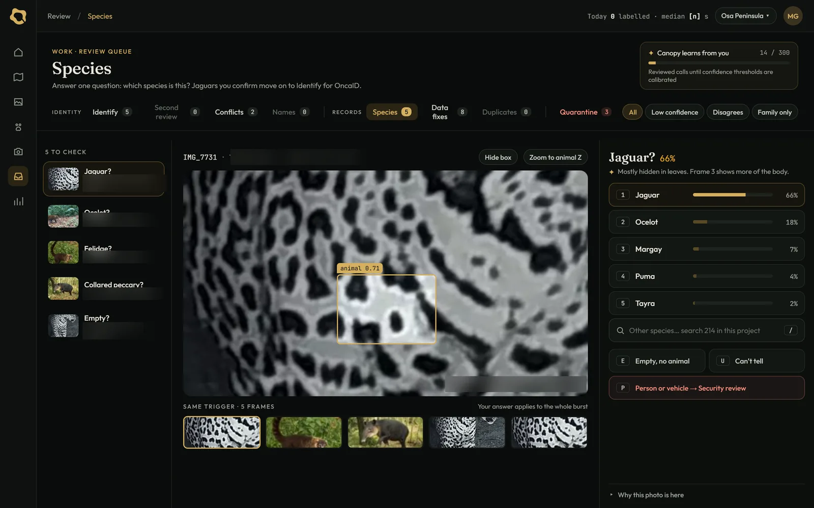 Species review screen with a close-up of a spotted coat and ranked species suggestions.
