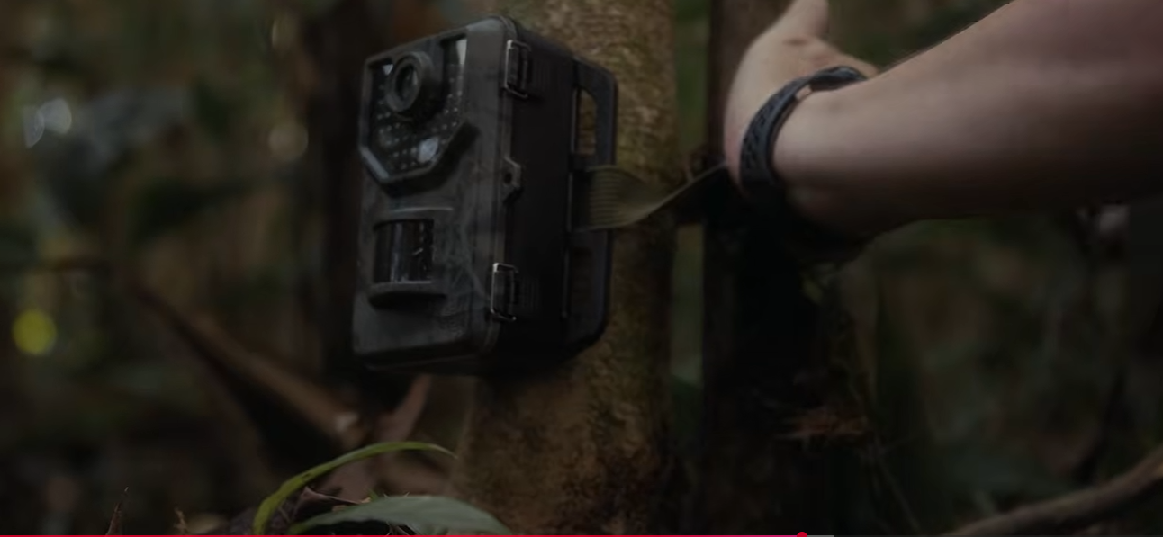 A Grow Jungles camera trap strapped to a tree at a field station, Costa Rica