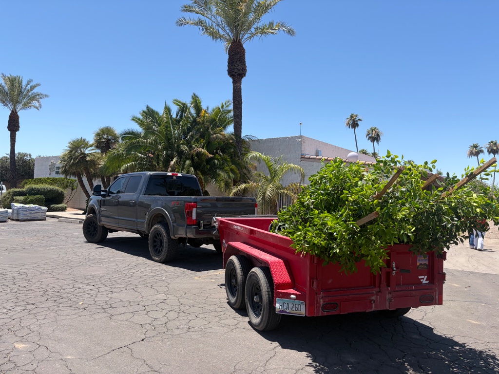 Tree Delivery