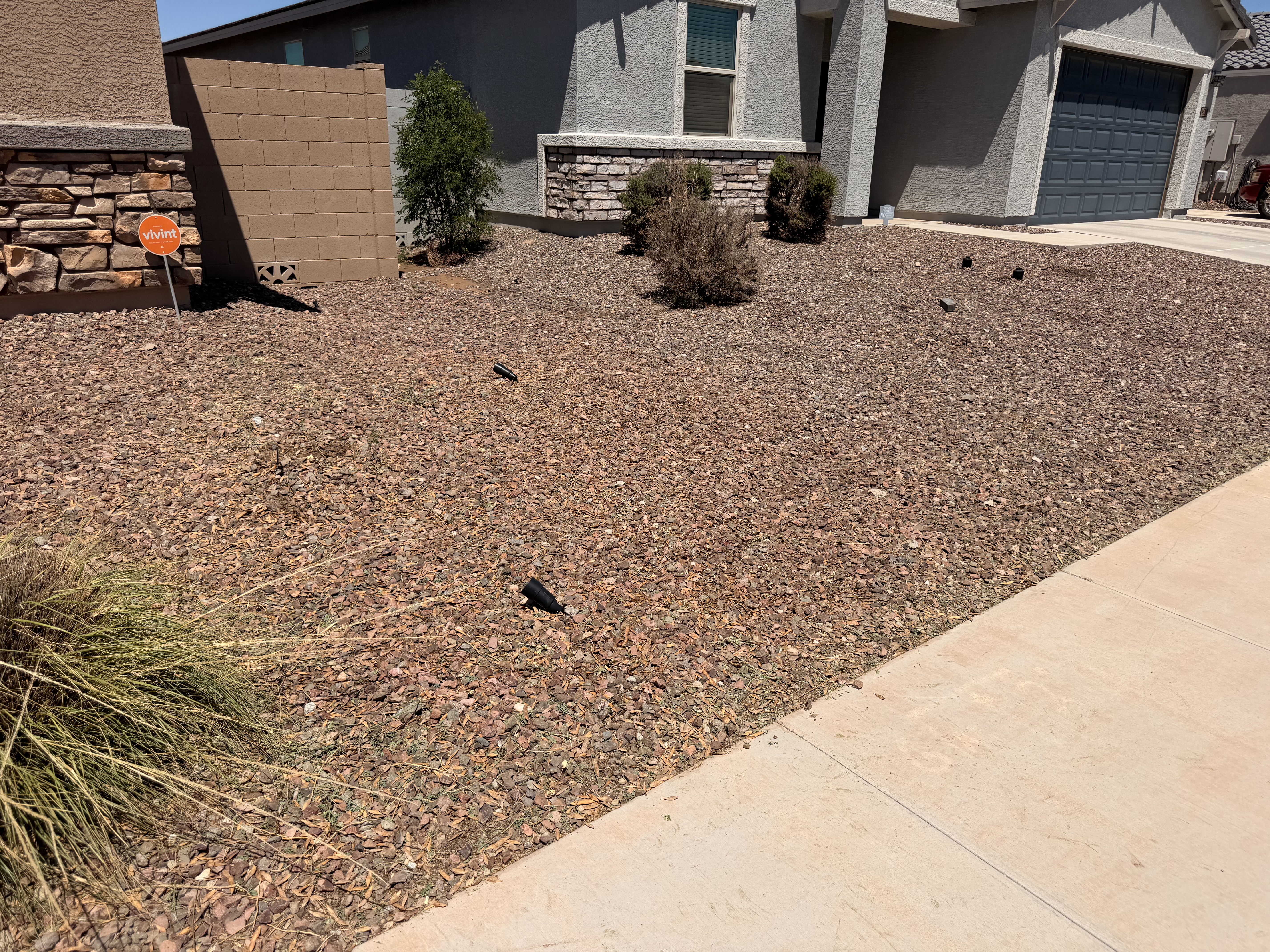 Tree Cleared — Site Cleaned Up