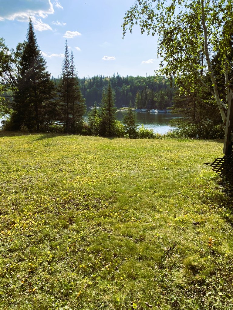Open grassy yard sloping down to the lakeshore and pines
