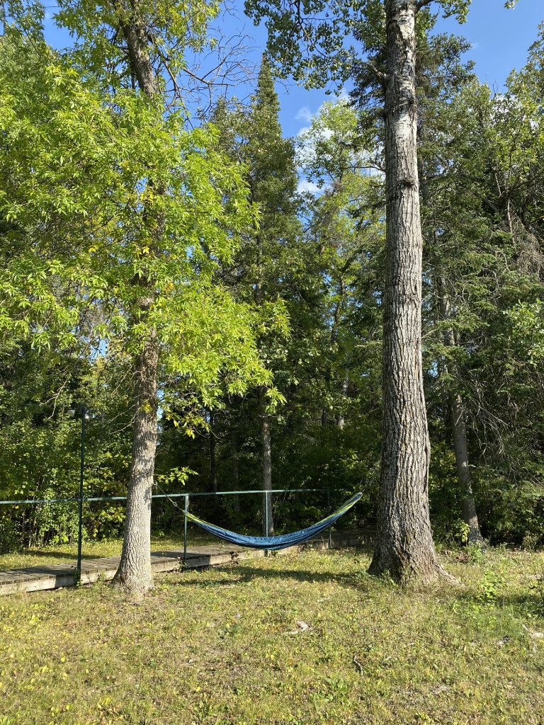 A blue hammock strung between two trees on the grassy point