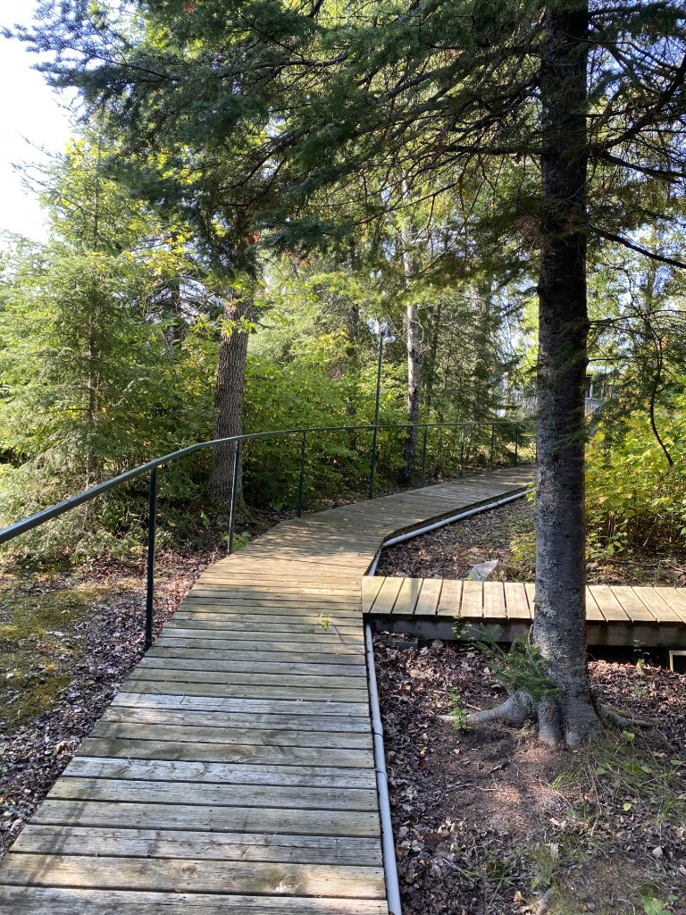A winding wooden boardwalk through the trees on the point