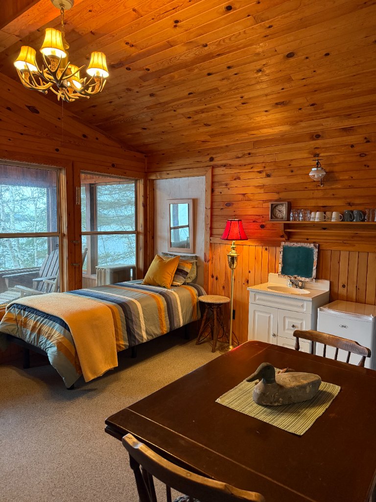 Bunky room with a single bed, sink, and antler chandelier