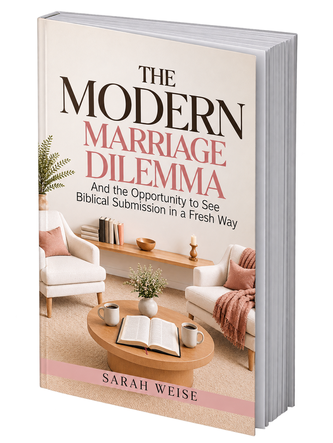 The Modern Marriage Dilemma book