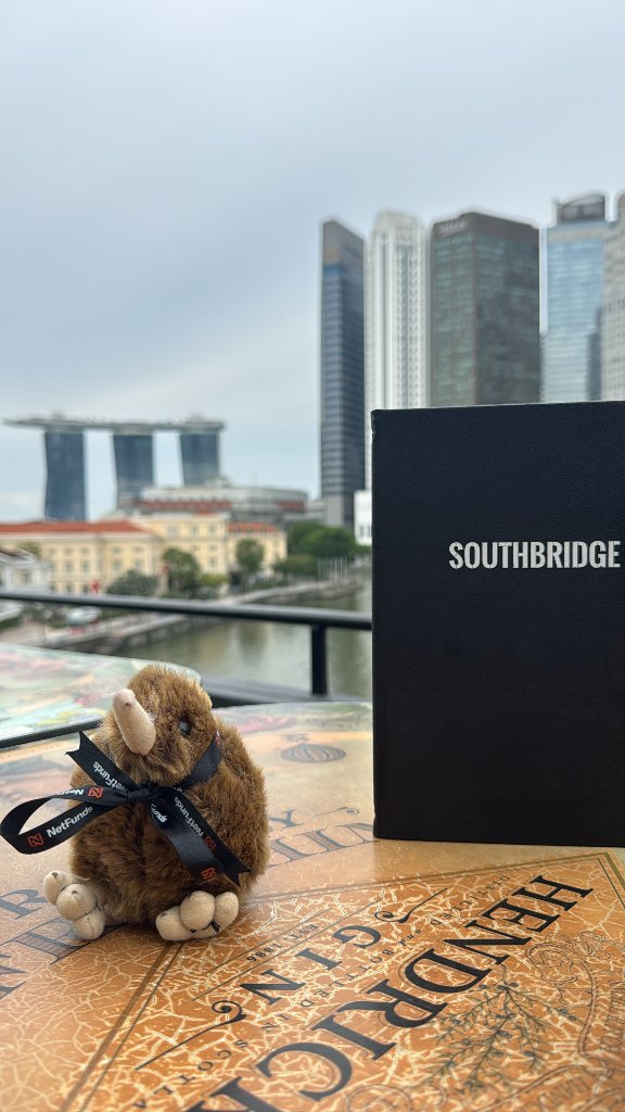 NetFunds in Singapore