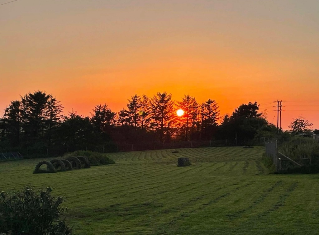 Sunset over Cornwall dog fields