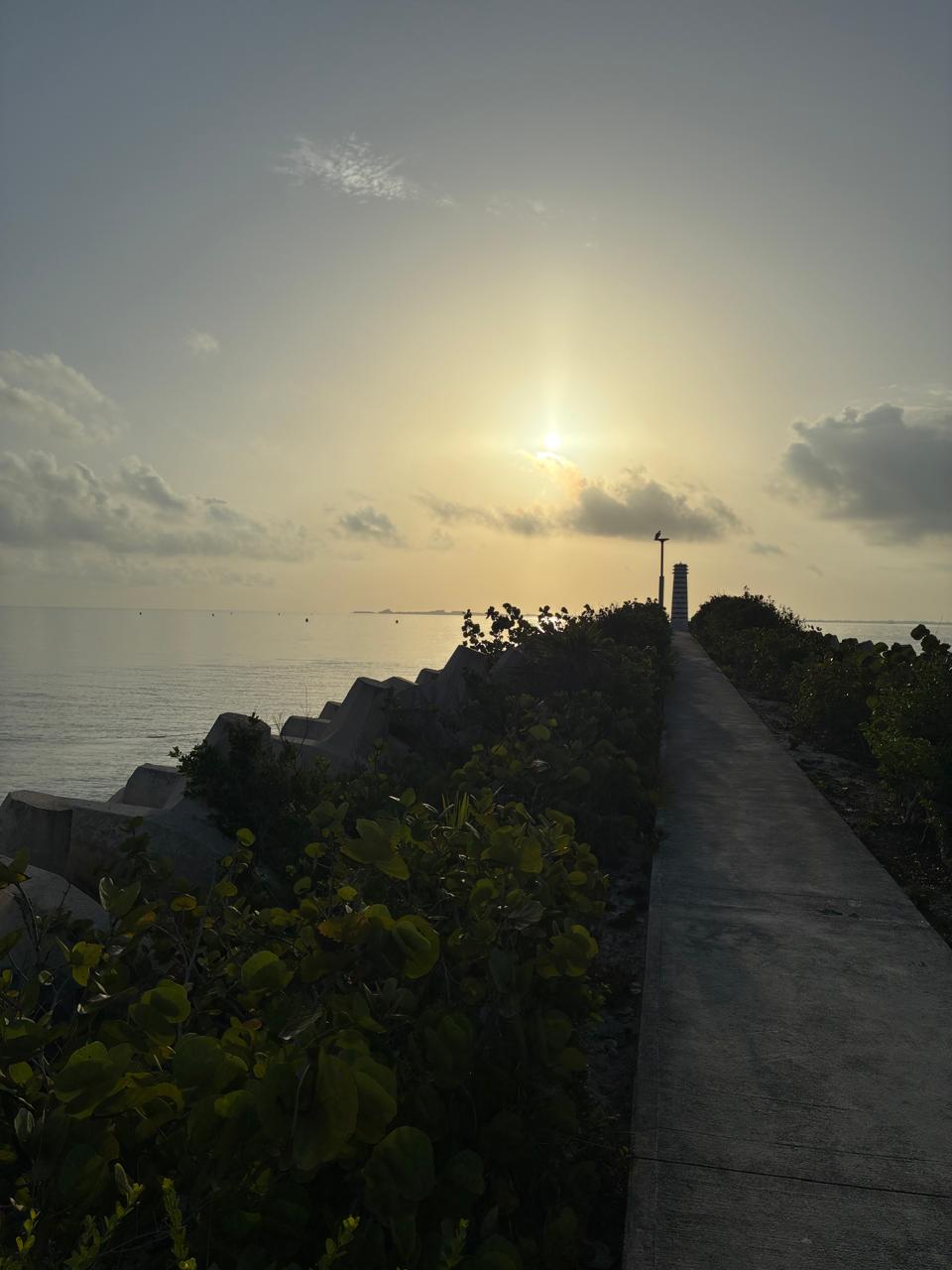 Paseo al faro