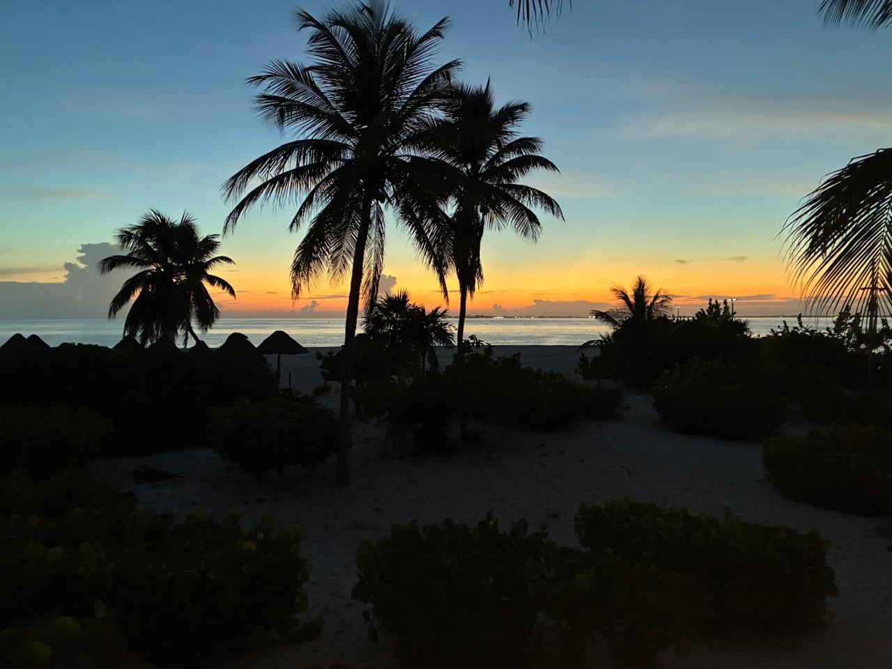 Atardecer entre palmeras