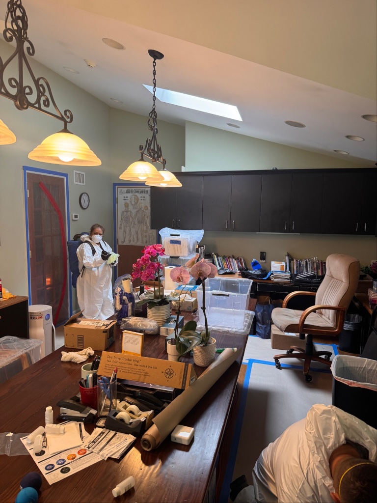 Belongings & Surface Treatment
