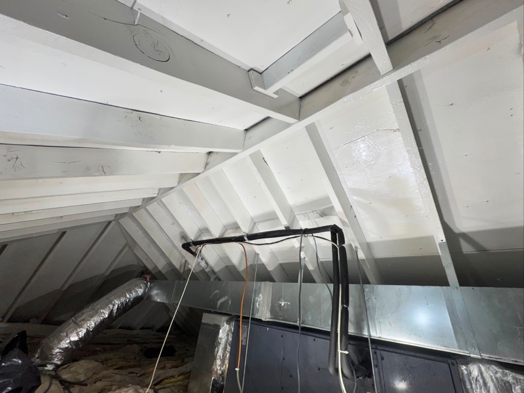 Attic Mold Remediation — After
