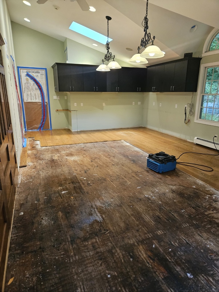 Subfloor Remediation & Air Filtration