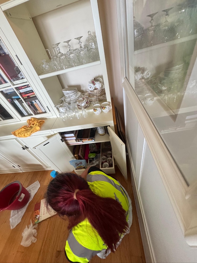 Cabinet Cleaning