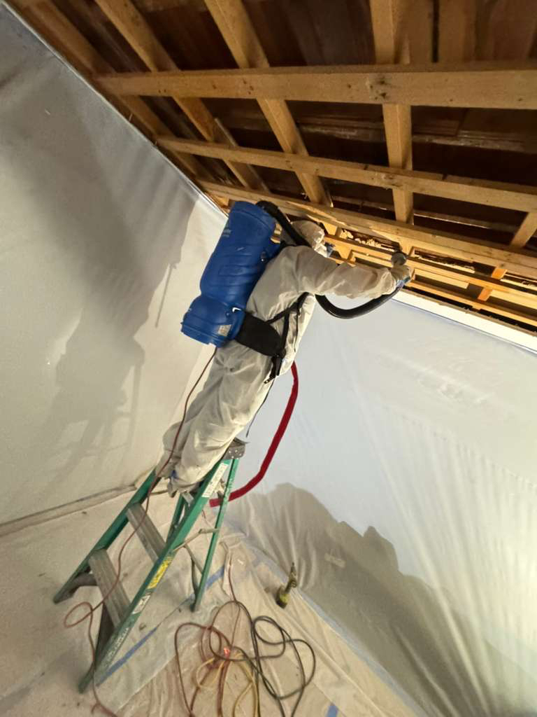 Ceiling Joist Mold Remediation