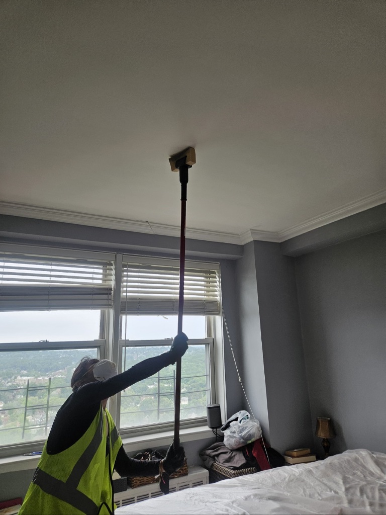 Ceiling Soot Removal