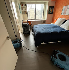 Bedroom Drying & Dehumidification