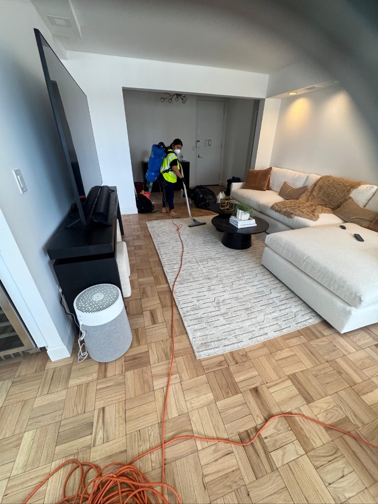 Area Rug & Surface Cleaning