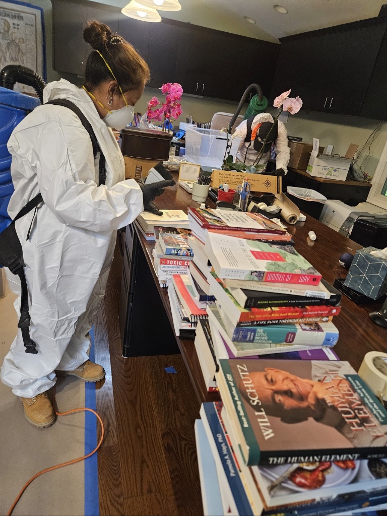 Content Cleaning & Decontamination