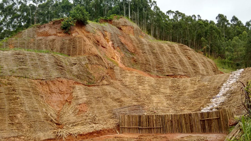 Talude em processo de recuperação com hidrossemeadura e bioengenharia