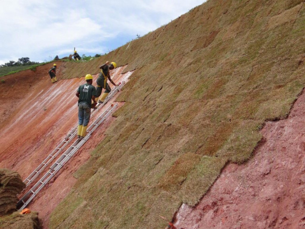 Equipe de campo realizando recuperação ambiental em talude