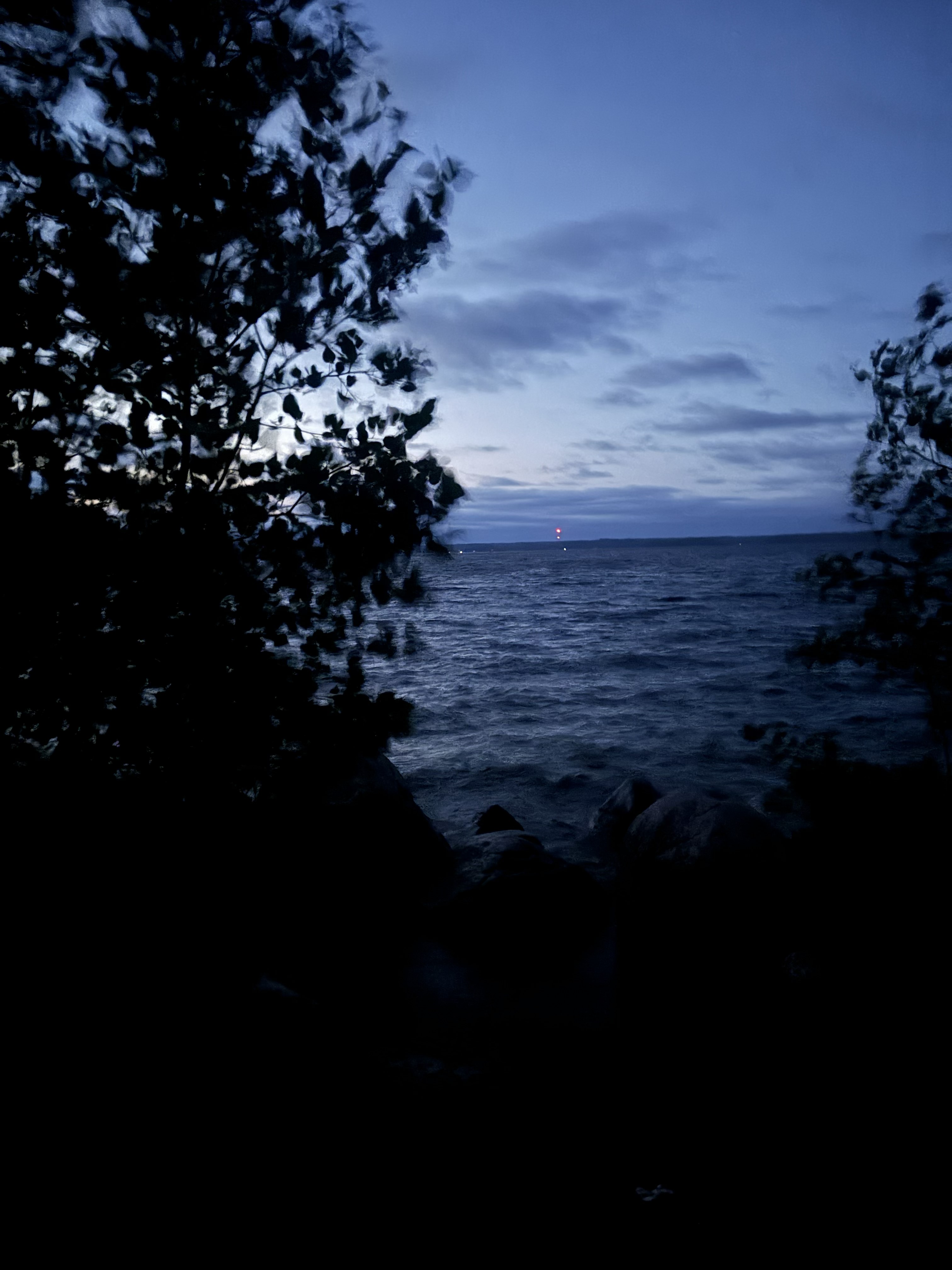 Calm boreal lake at twilight framed by dark silhouetted trees