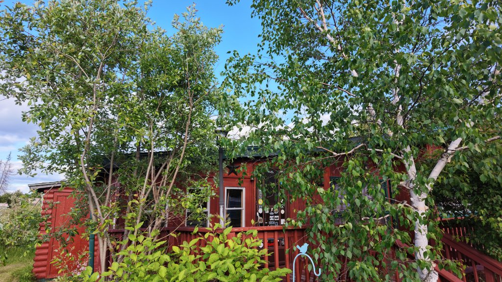 Red rustic cabin exterior with porch railing surrounded by birch trees
