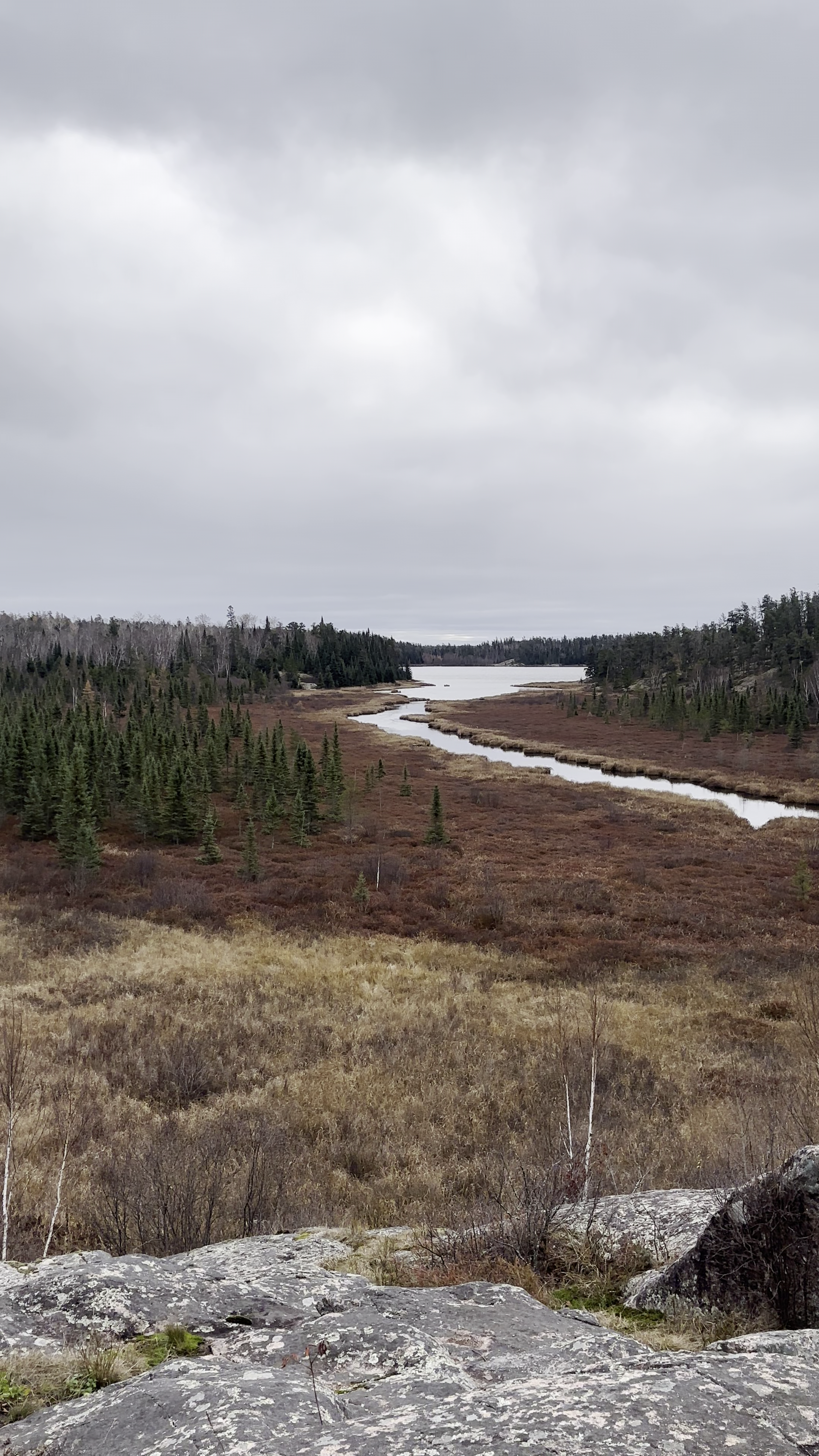 Rocky overlook above a wild marshland and treeline under grey skies