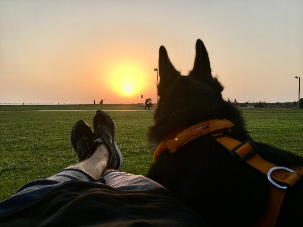 The founder with Echo, his German Shepherd — the dog who inspired MyEcho