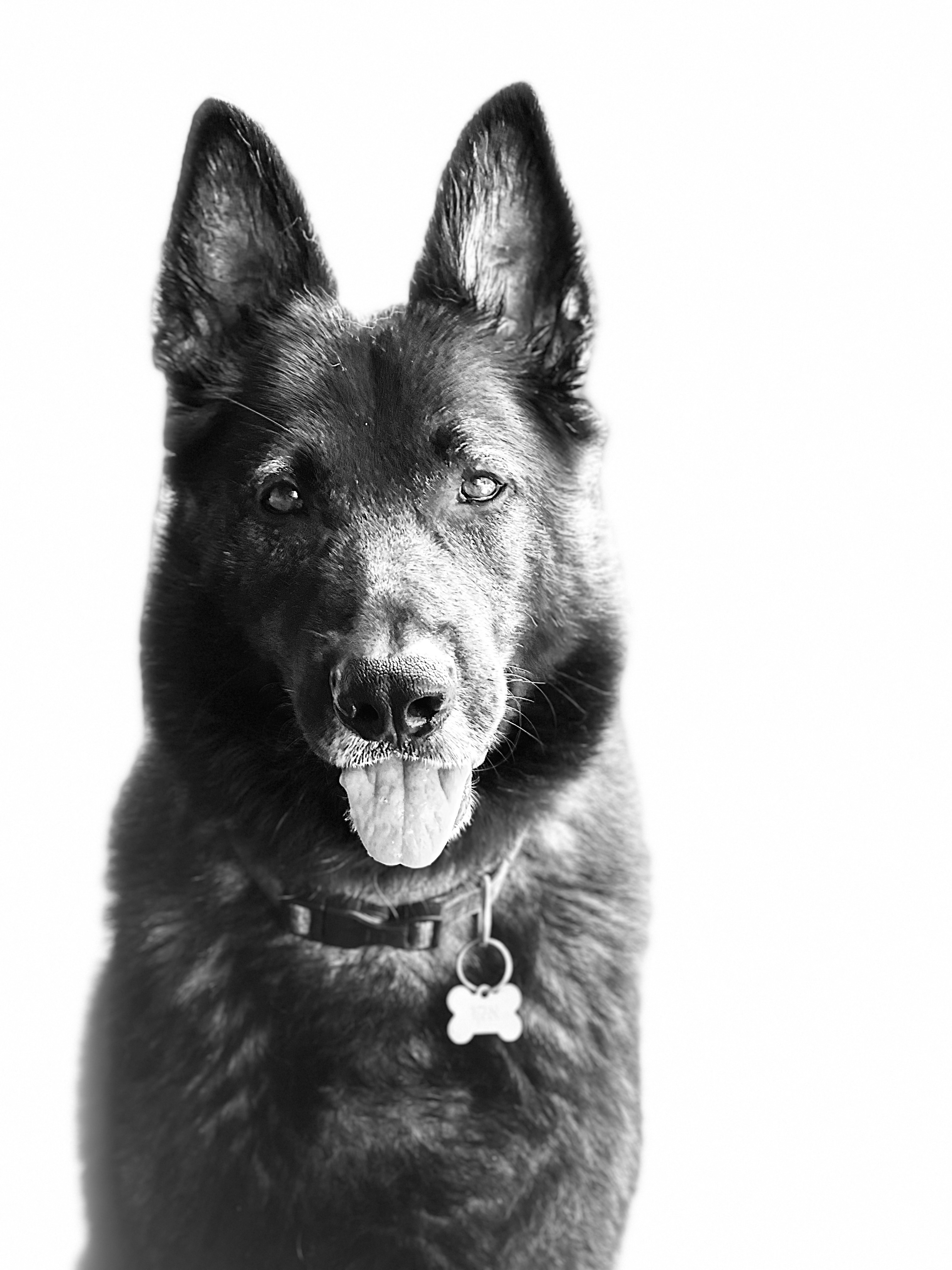 Echo