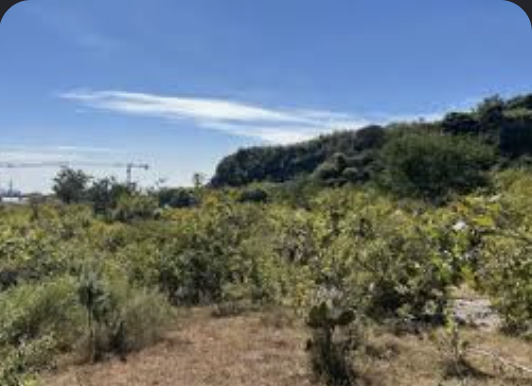 Terreno semiárido con vista a lomerío en Monterrey