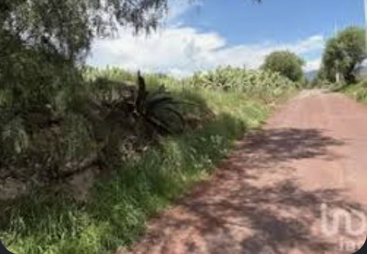 Terreno rústico con agaves en San Miguel