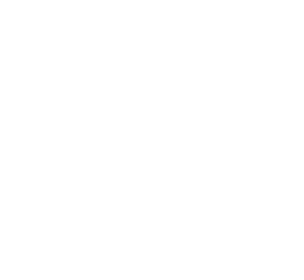 Bridgeworks Global