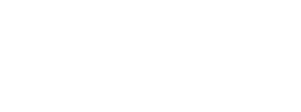Intelligent Data