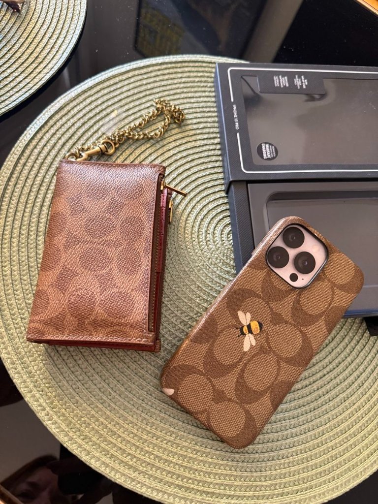 Coach Coach Set: Wallet mit Kette + iPhone 13 Pro Case – Signature