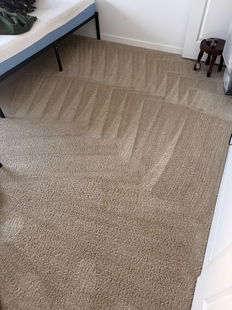 Freshly cleaned beige bedroom carpet with visible extraction lanes after HydroLux service