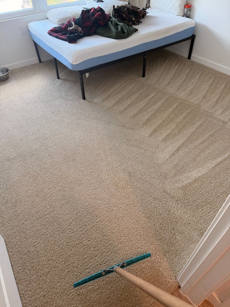 Clean bedroom carpet showing rake grooming lines after professional hot water extraction