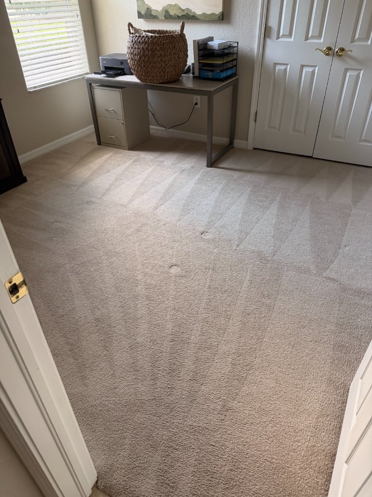 Professionally cleaned bedroom carpet showing clean rake lines in Wesley Chapel Florida home