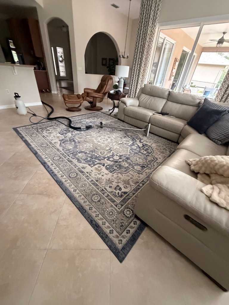 Area Rug Cleaning in San Antonio, FL