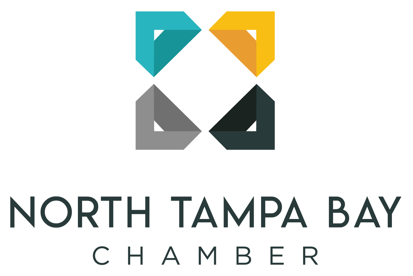 North Tampa Bay Chamber Member logo — Wesley Chapel FL business community
