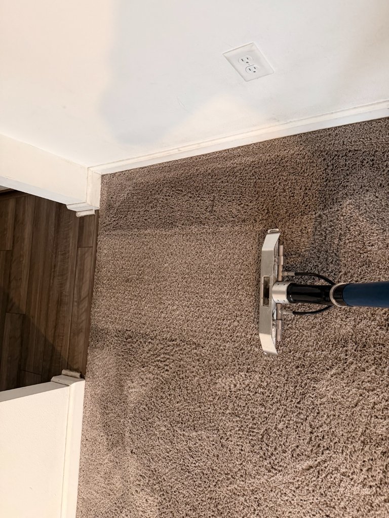 Carpet Cleaning in Wesley Chapel, FL