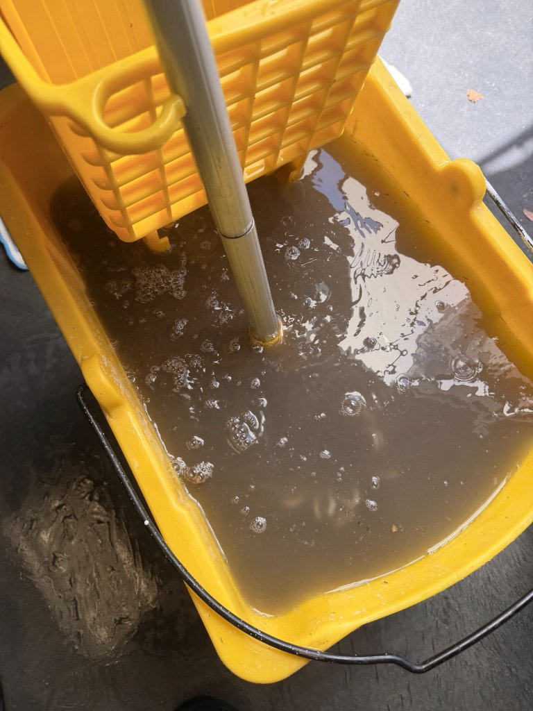 Yellow bucket filled with dark dirty water extracted from carpet proving deep cleaning effectiveness