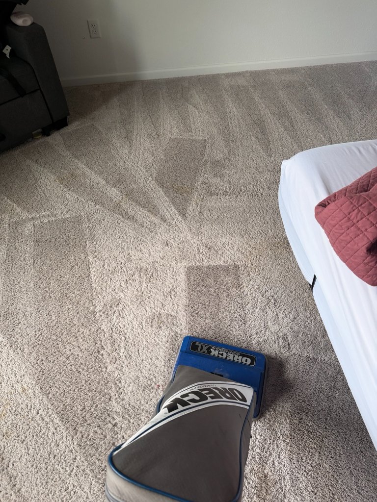 Commercial Oreck vacuum used during pre-vacuuming step before hot water extraction carpet cleaning